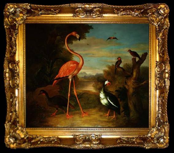 framed  Jakob Bogdani Flamingo and Other Birds in a Landscape, ta009-2